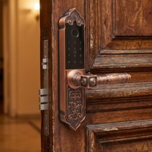 Kidaas Z2 Smart lock (Copper)