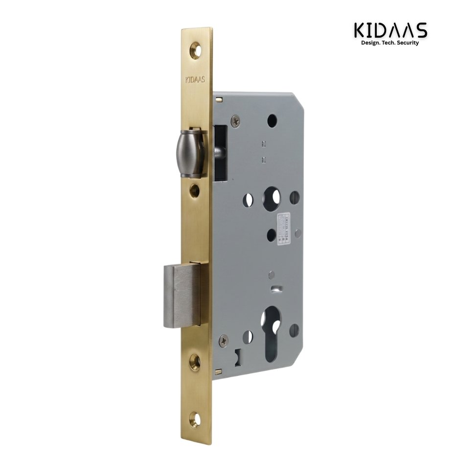 Kidaas Double Door Body 304 ( SS | AB | PVD )
